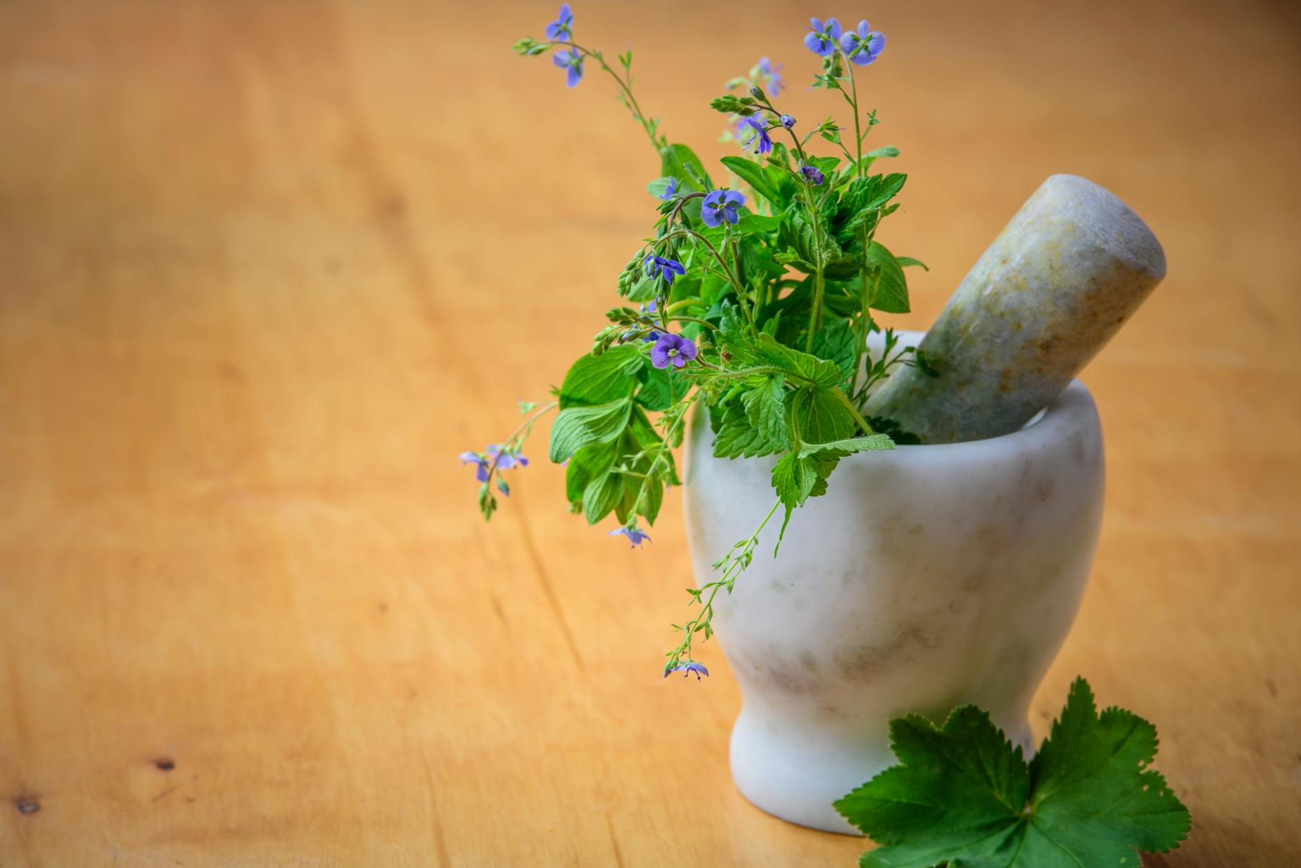 How Daily Meditation Became My Life-Saving Medicine