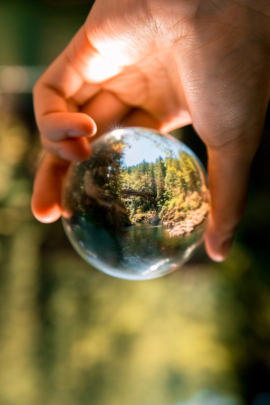 Getting to Grips with Illusions, Delusions, and Reality with Mindfulness